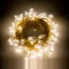SASK-5DV80SC-2 5 MM Diamond-Veni 80 Feet - 90 Lamp S/C