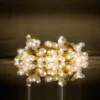 SASK-5DV80SC-4 5 MM Diamond-Veni 80 Feet - 90 Lamp S/C