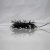 SASK-8F40SC-BLK-CW-3.webp 8 MM Frosted 40 Lamp S/C - Black Wire - Cool White